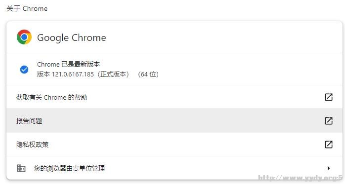 谷歌浏览器版本.jpg